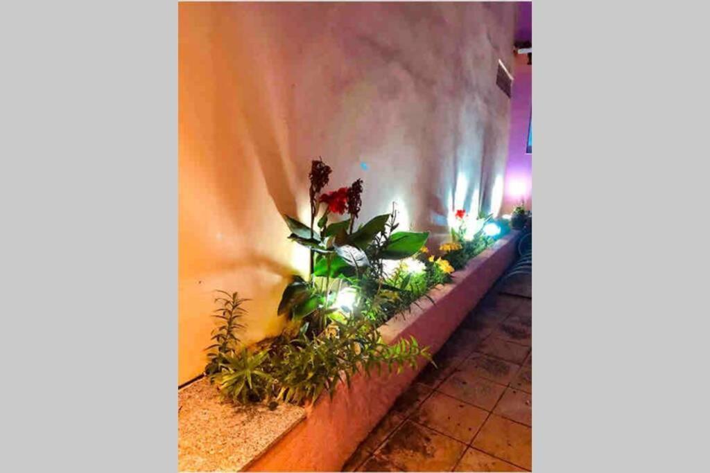 Ionian Stylish Apartment Preveza Marina Kültér fotó